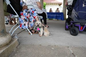 WDOM-Annual-Meeting-2025-DSC04402